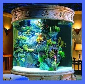 Cubierta de acuario técnico