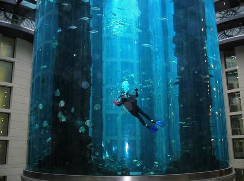 Instalación con buzo acuario